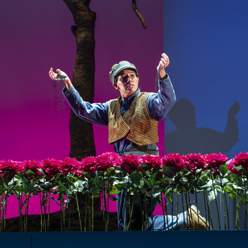 INFINITY PRODUCTIONS PORTFOLIO THEATRE PERFORMING ARTS CHICAGO OPERA LEONORA LANDSCAPE 03