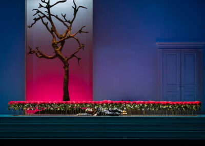 INFINITY PRODUCTIONS PORTFOLIO THEATRE PERFORMING ARTS CHICAGO OPERA LEONORA LANDSCAPE 07