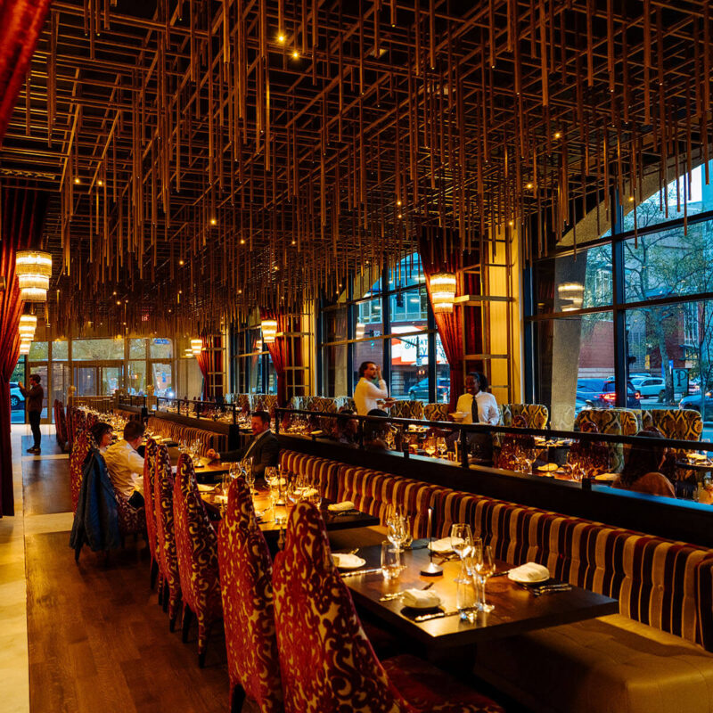 add 20250416 A7 02076 CalebPerryPhotography Infinity Canopy HotelBourreBonne