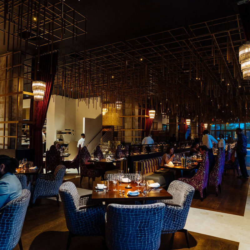 add 20250416 A7 02084 CalebPerryPhotography Infinity Canopy HotelBourreBonne