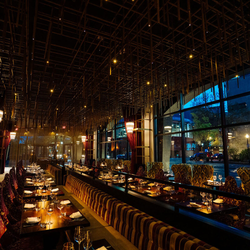 add 20250416 A7 02107 CalebPerryPhotography Infinity Canopy HotelBourreBonne