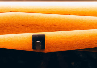 Infinity Productions Hospitality SakeAGoGo 05 Sushi 20250717 A7 08188 CalebPerryPhotography Infinity SakeAGoGo Final