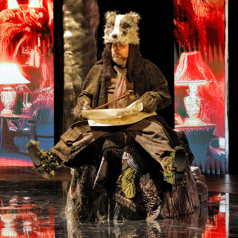 Cunning Little Vixen 15 Infinity Productions Theater DesMoinesMetroOpera DMMO CLV CunningLittleVixen Landscape 10