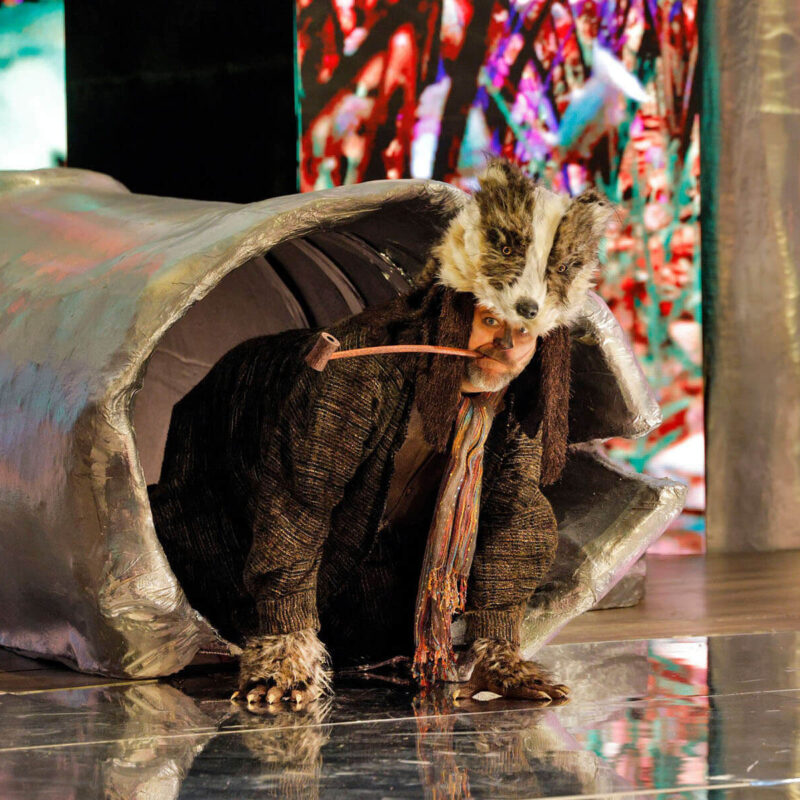 Cunning Little Vixen 14 Infinity Productions Theater DesMoinesMetroOpera DMMO CLV CunningLittleVixen Landscape 11