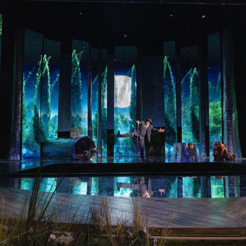 Cunning Little Vixen 13 Infinity Productions Theater DesMoinesMetroOpera DMMO CLV CunningLittleVixen Landscape 12