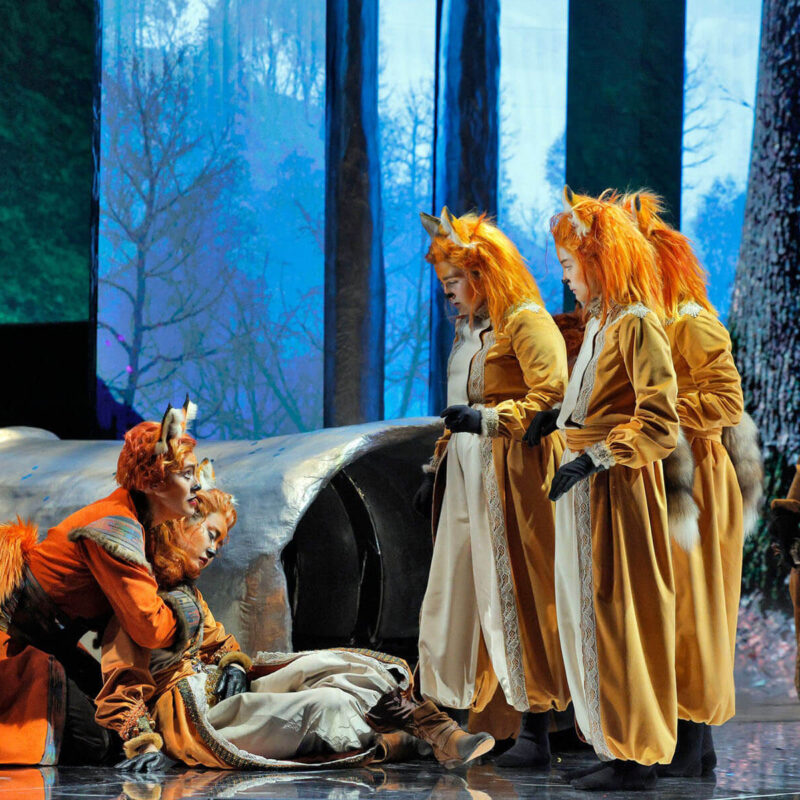 Cunning Little Vixen 6 Infinity Productions Theater DesMoinesMetroOpera DMMO CLV CunningLittleVixen Landscape 19