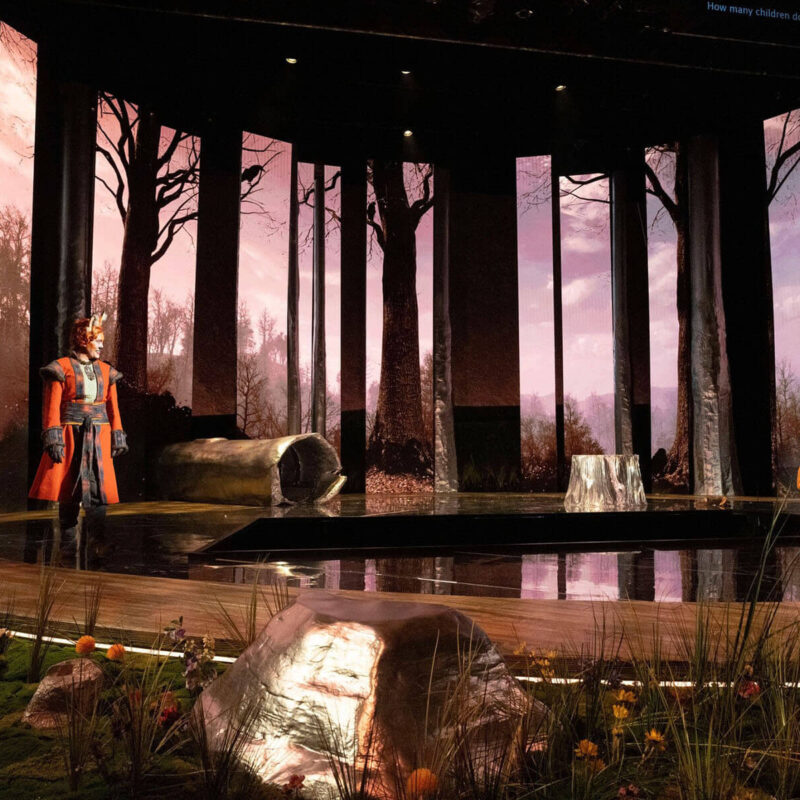 Cunning Little Vixen 5 Infinity Productions Theater DesMoinesMetroOpera DMMO CLV CunningLittleVixen Landscape 20