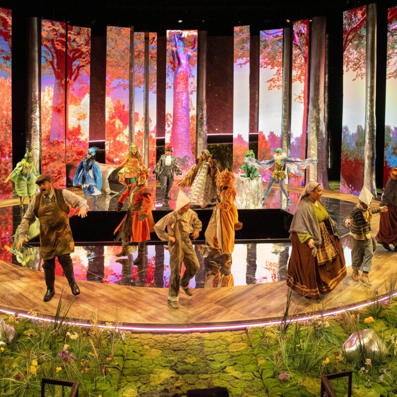 Cunning Little Vixen 4 Infinity Productions Theater DesMoinesMetroOpera DMMO CLV CunningLittleVixen Landscape 21