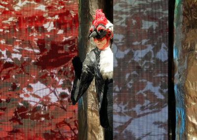 Infinity Productions Theater DesMoinesMetroOpera DMMO CLV CunningLittleVixen Landscape 22