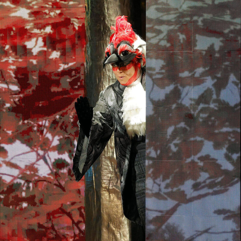 Cunning Little Vixen 3 Infinity Productions Theater DesMoinesMetroOpera DMMO CLV CunningLittleVixen Landscape 22