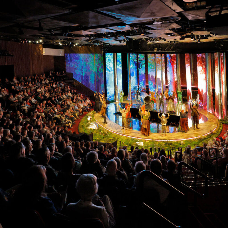 Cunning Little Vixen 2 Infinity Productions Theater DesMoinesMetroOpera DMMO CLV CunningLittleVixen Landscape 23