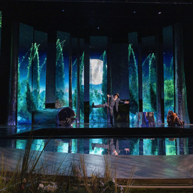 Cunning Little Vixen 1 Infinity Productions Theater DesMoinesMetroOpera DMMO CLV CunningLittleVixen Landscape 24