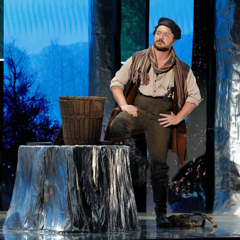 Cunning Little Vixen 22 Infinity Productions Theater DesMoinesMetroOpera DMMO CLV CunningLittleVixen Landscape 3