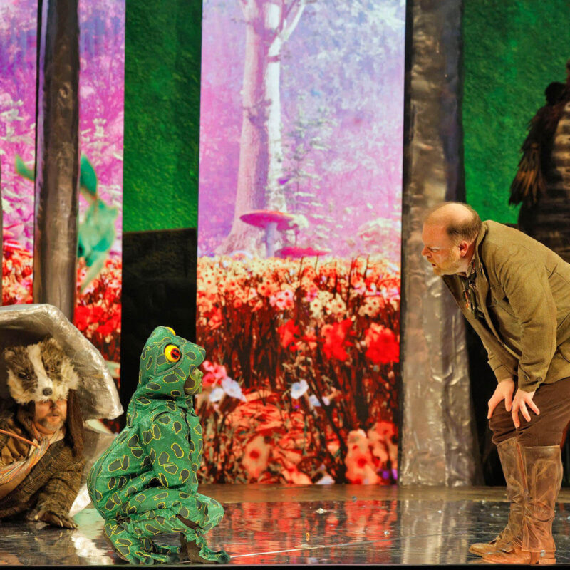 Cunning Little Vixen 21 Infinity Productions Theater DesMoinesMetroOpera DMMO CLV CunningLittleVixen Landscape 4