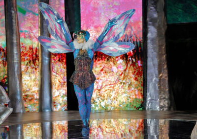 Infinity Productions Theater DesMoinesMetroOpera DMMO CLV CunningLittleVixen Landscape 5