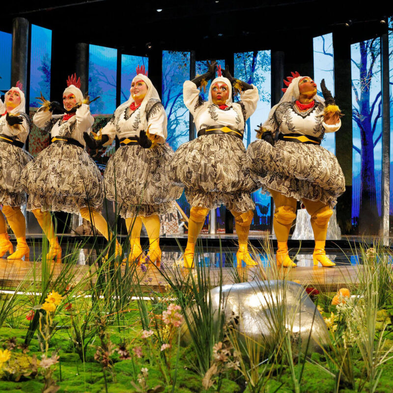 Cunning Little Vixen 19 Infinity Productions Theater DesMoinesMetroOpera DMMO CLV CunningLittleVixen Landscape 6