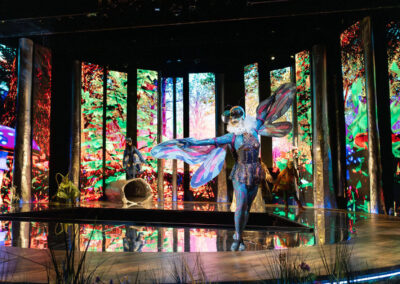 Infinity Productions Theater DesMoinesMetroOpera DMMO CLV CunningLittleVixen Landscape 7