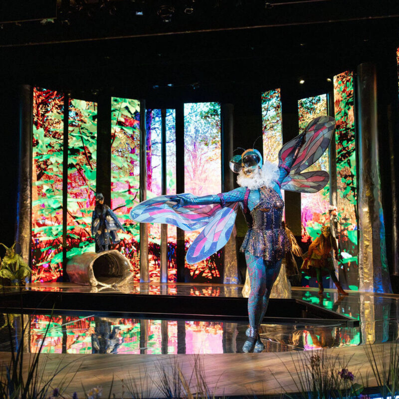 Cunning Little Vixen 18 Infinity Productions Theater DesMoinesMetroOpera DMMO CLV CunningLittleVixen Landscape 7