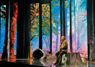 Infinity Productions Theater DesMoinesMetroOpera DMMO CLV CunningLittleVixen Landscape 8