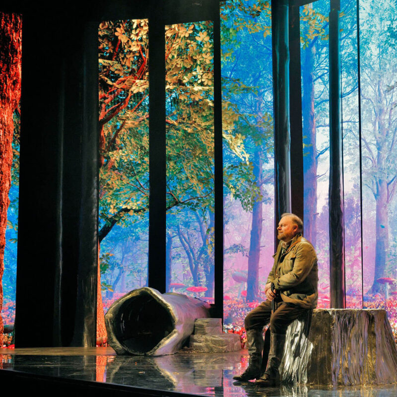 Cunning Little Vixen 17 Infinity Productions Theater DesMoinesMetroOpera DMMO CLV CunningLittleVixen Landscape 8