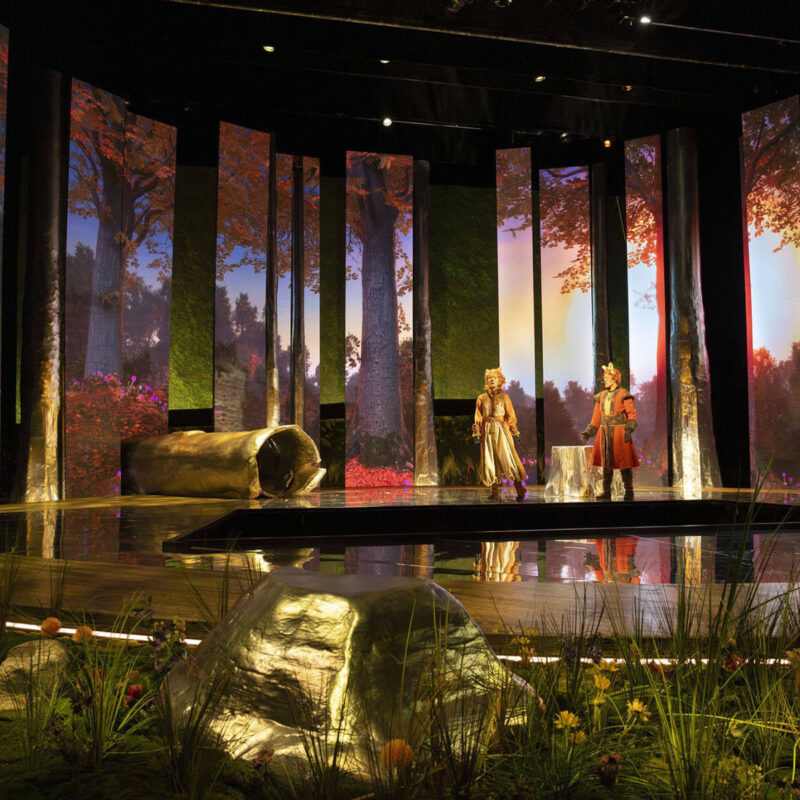 Cunning Little Vixen 16 Infinity Productions Theater DesMoinesMetroOpera DMMO CLV CunningLittleVixen Landscape 9