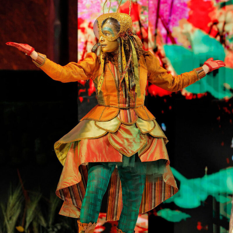 Cunning Little Vixen 28 Infinity Productions Theater DesMoinesMetroOpera DMMO CLV CunningLittleVixen Portrait 10