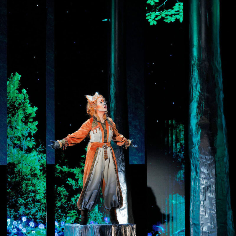 Cunning Little Vixen 26 Infinity Productions Theater DesMoinesMetroOpera DMMO CLV CunningLittleVixen Portrait 12