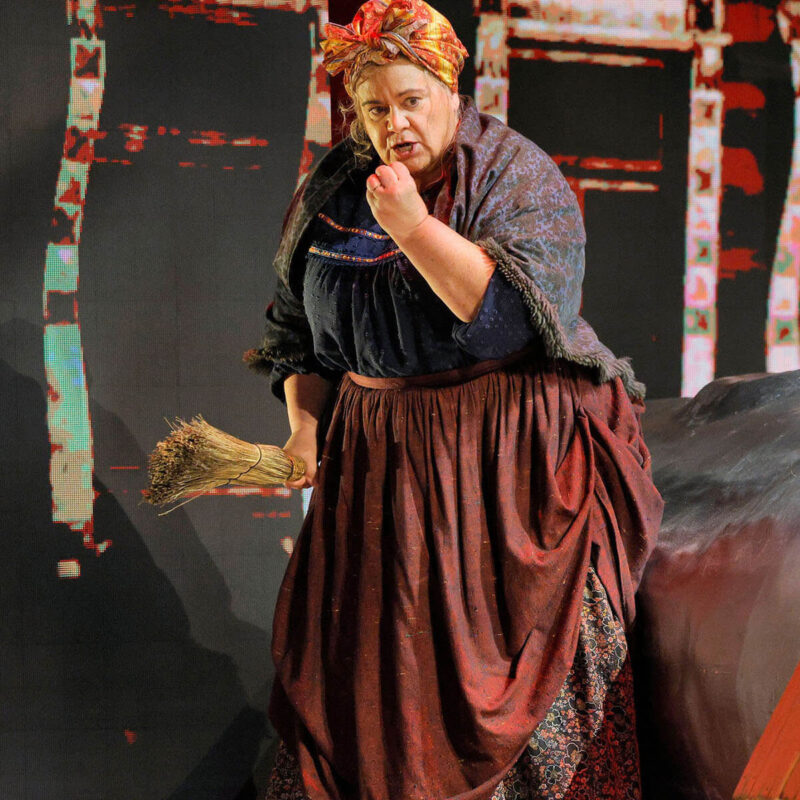 Cunning Little Vixen 30 Infinity Productions Theater DesMoinesMetroOpera DMMO CLV CunningLittleVixen Portrait 8