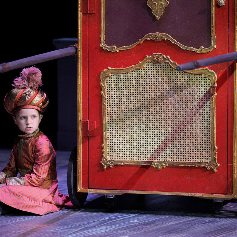 Infinity Productions Theater DesMoinesMetroOpera DMMO TheRakesProgress Landscape 11