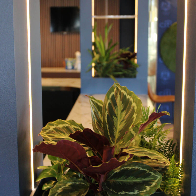 Infinity Productions Ryder Cup Citi Bank 2025 portrait 0Misc IMG 0201