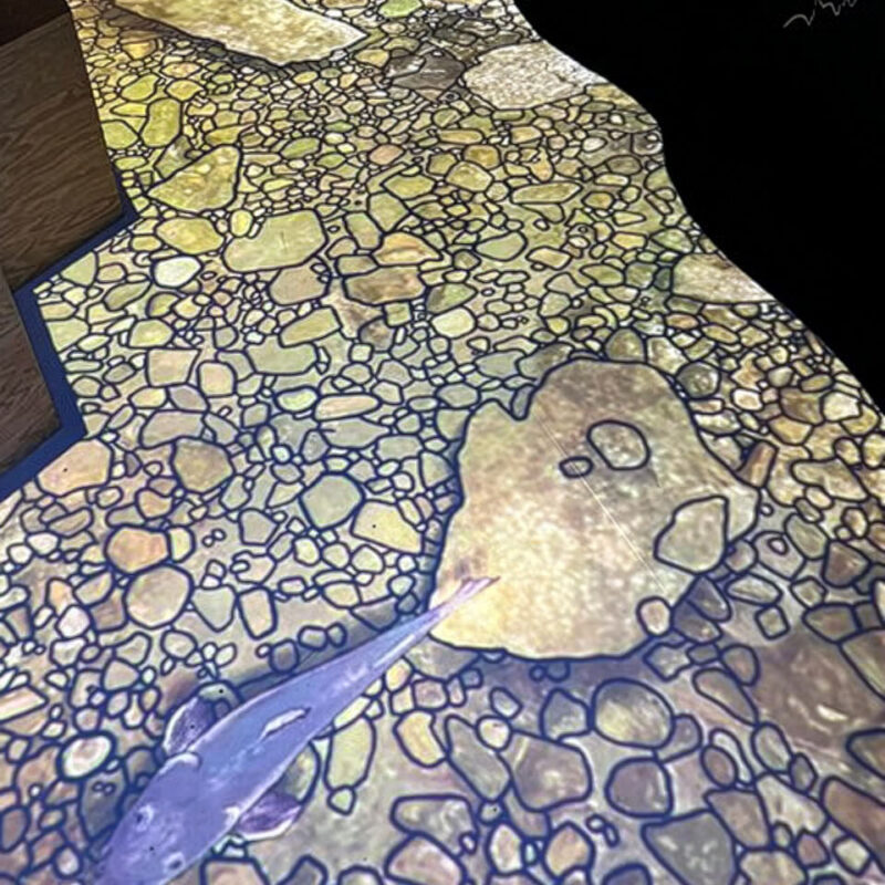 INFINITY PRODUCTIONS PORTFOLIO HOSPITALITY Exhibts Arts Entertainment Womb of Creation Frazier History Museum 012